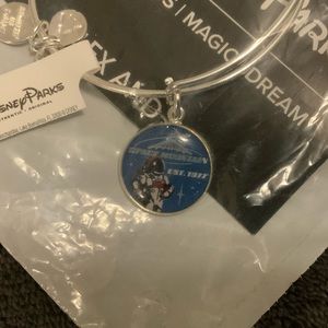 Disney Alex and Ani Space Mountain bangle